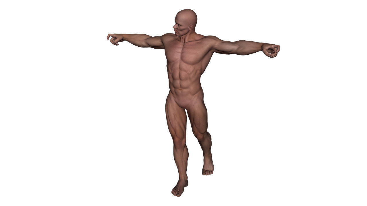 Realistic Alpha Male - Rigged Low-poly 3D model_34