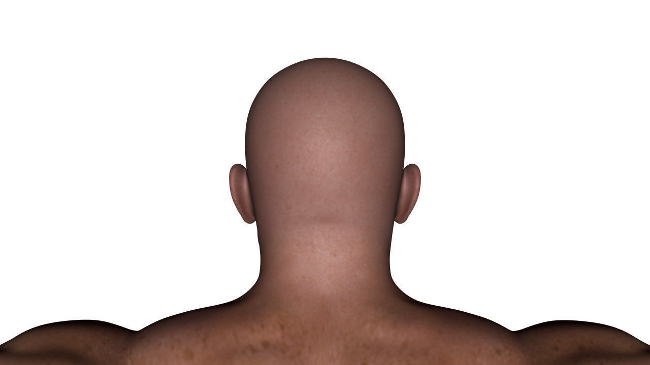 Realistic Alpha Male - Rigged Low-poly 3D model_39