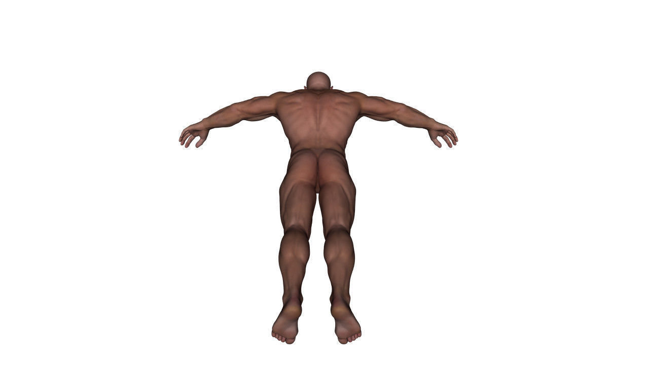 Realistic Alpha Male - Rigged Low-poly 3D model_25