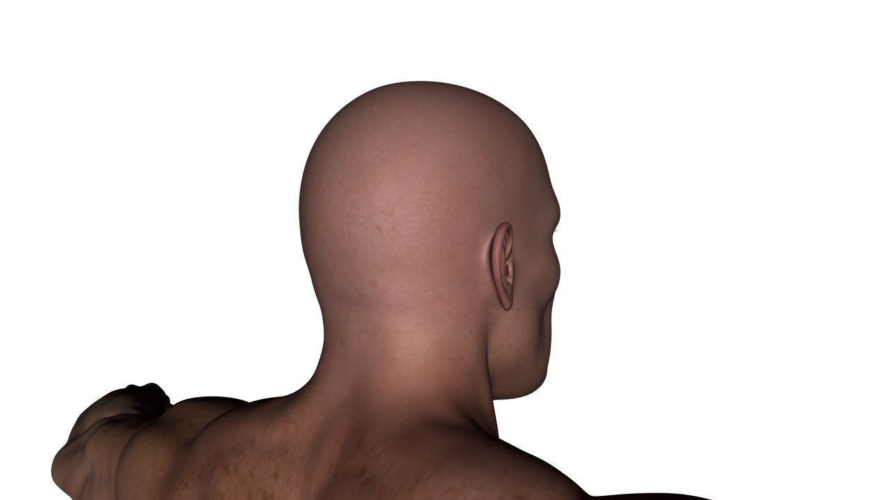 Realistic Alpha Male - Rigged Low-poly 3D model_40