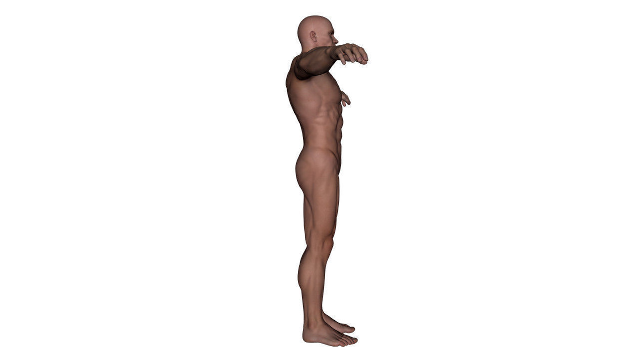 Realistic Alpha Male - Rigged Low-poly 3D model_9