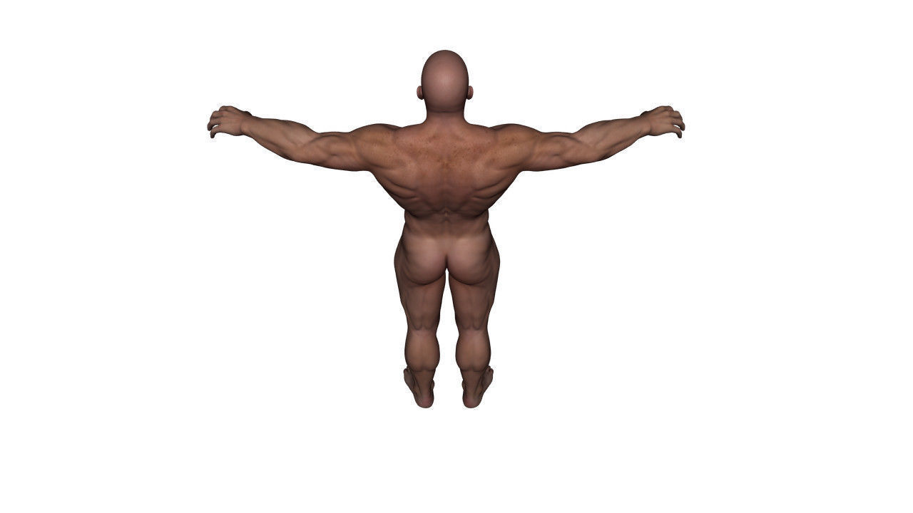 Realistic Alpha Male - Rigged Low-poly 3D model_16