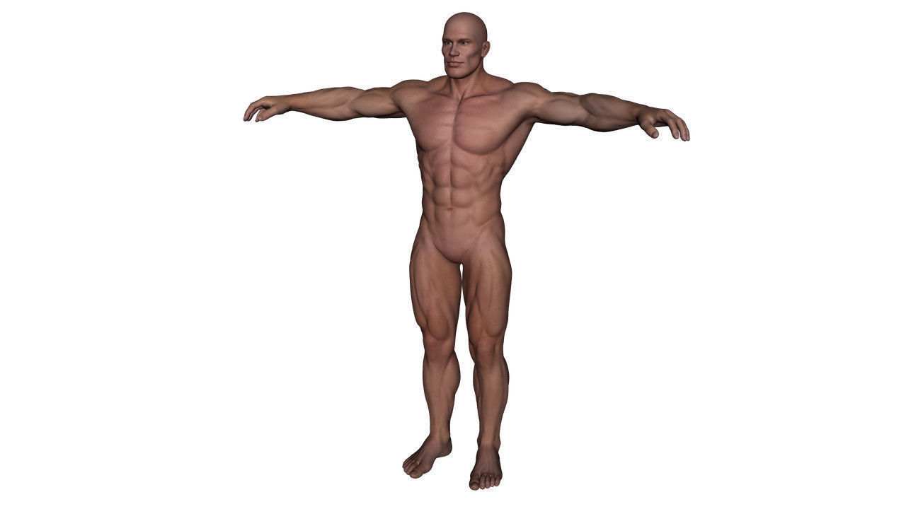 Realistic Alpha Male - Rigged Low-poly 3D model_2