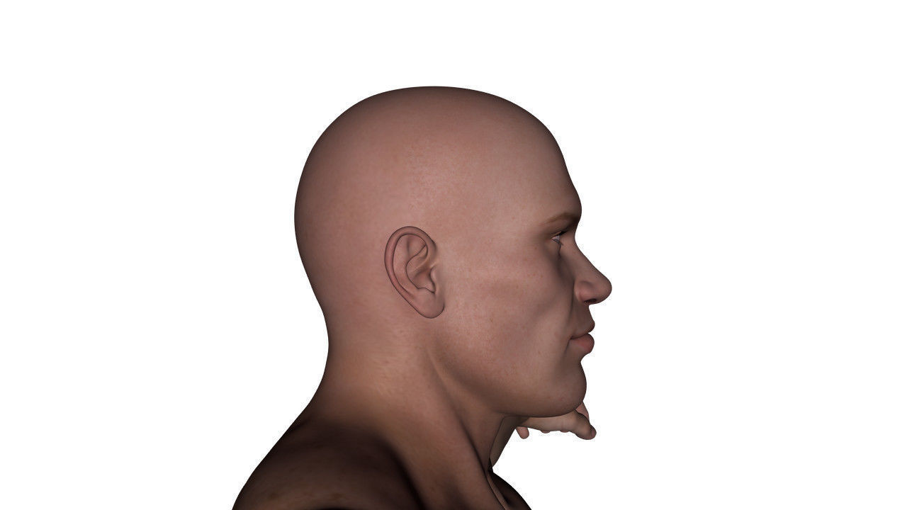 Realistic Alpha Male - Rigged Low-poly 3D model_41