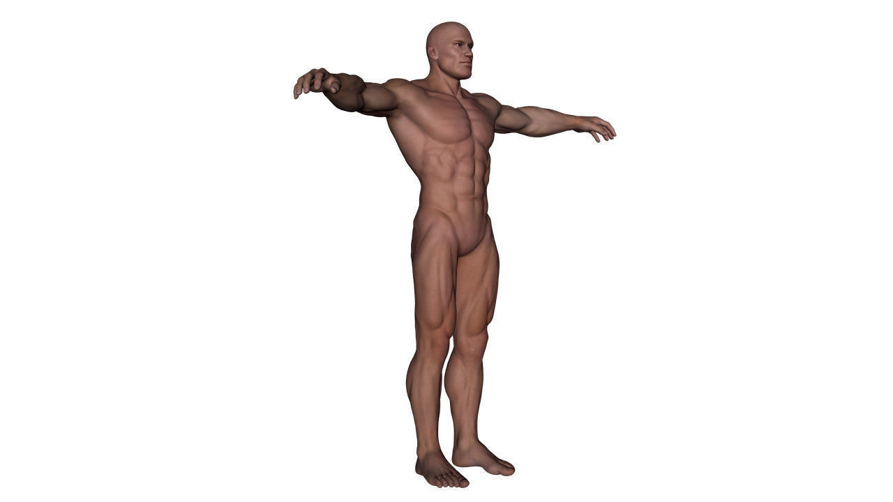 Realistic Alpha Male - Rigged Low-poly 3D model_10
