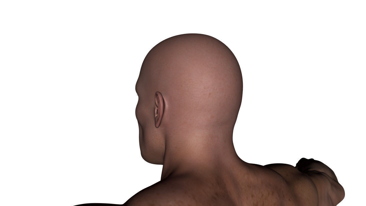 Realistic Alpha Male - Rigged Low-poly 3D model_38