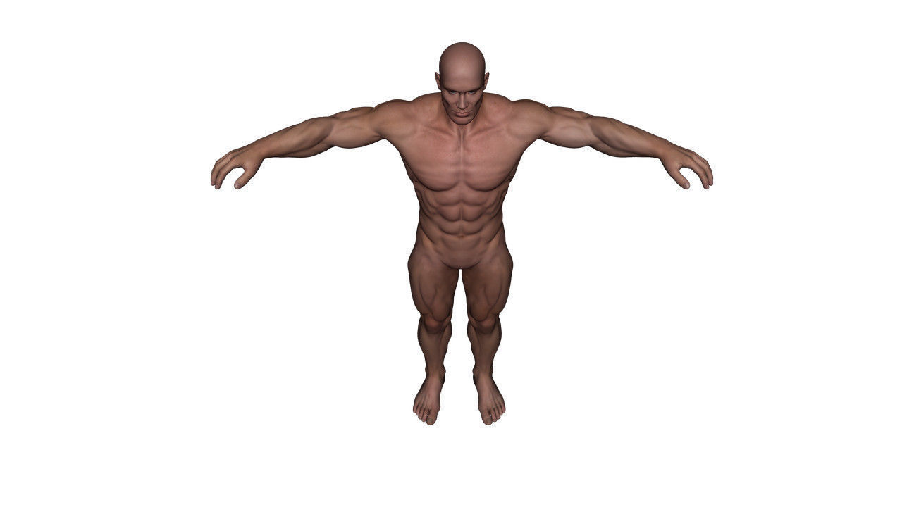 Realistic Alpha Male - Rigged Low-poly 3D model_12