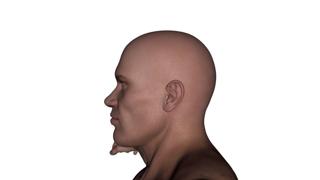 Realistic Alpha Male - Rigged Low-poly 3D model_37