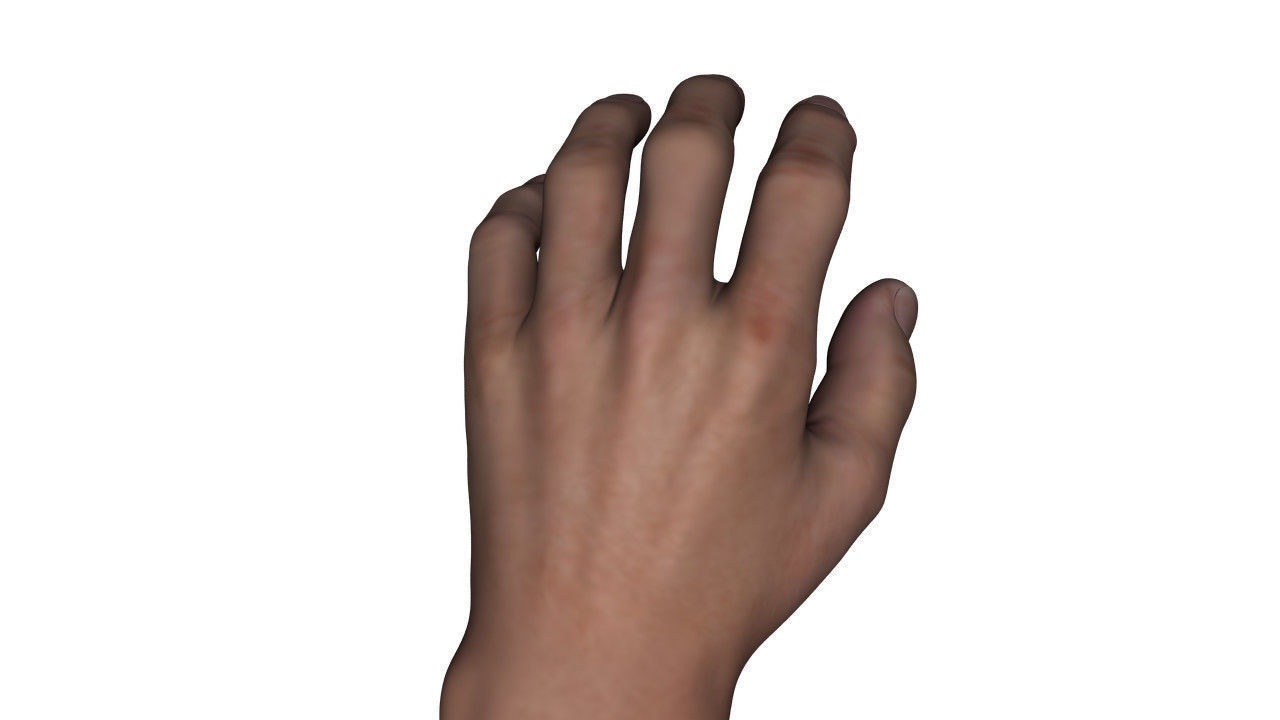 Realistic Alpha Male - Rigged Low-poly 3D model_44