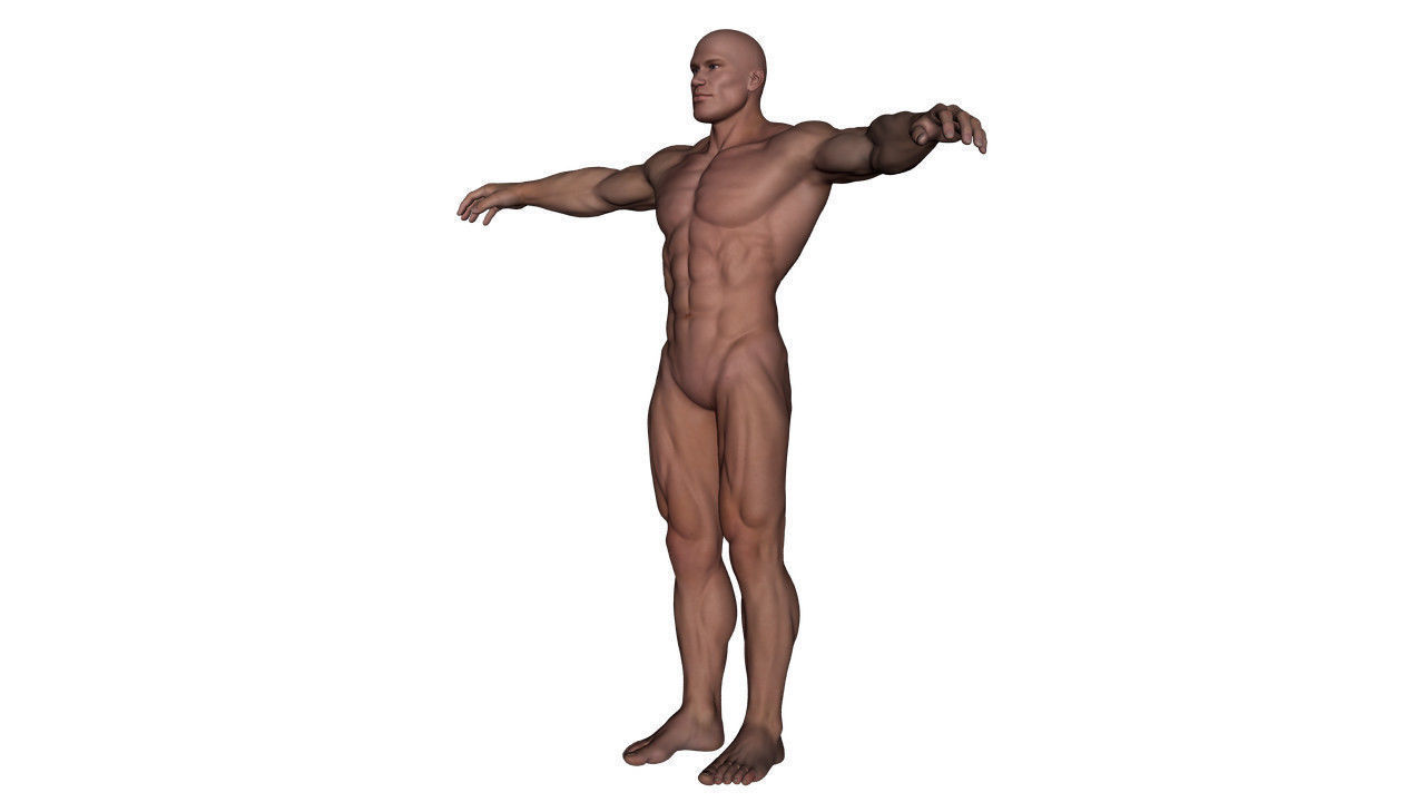 Realistic Alpha Male - Rigged Low-poly 3D model_4