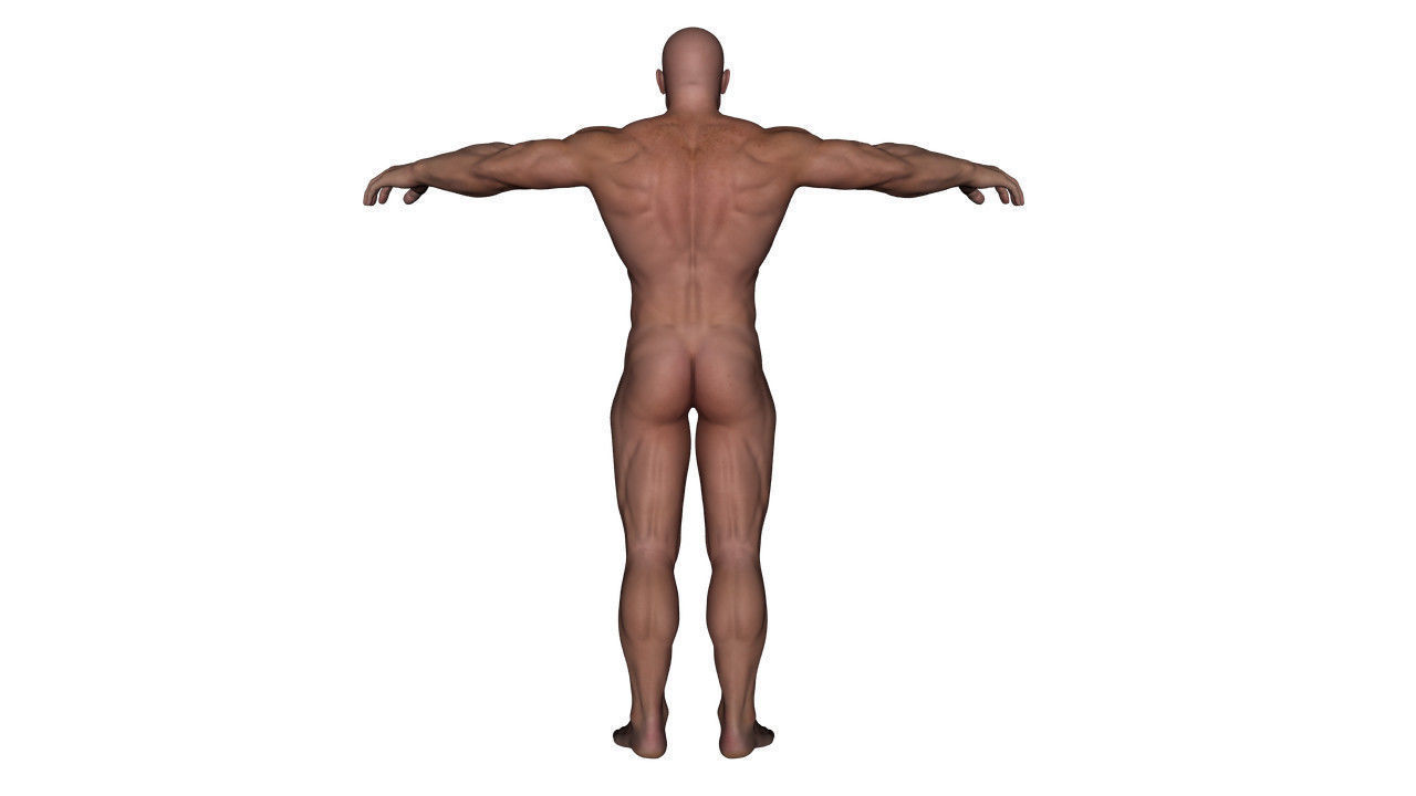 Realistic Alpha Male - Rigged Low-poly 3D model_7