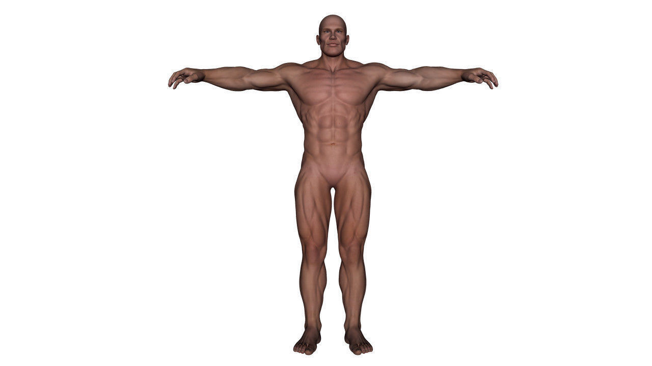 Realistic Alpha Male - Rigged Low-poly 3D model_11