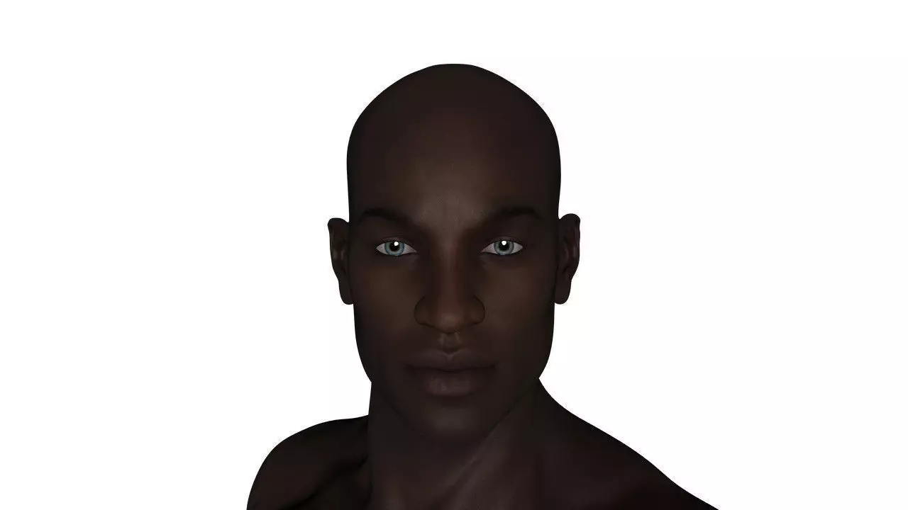 Realistic Black Man - Rigged Low-poly 3D model_0