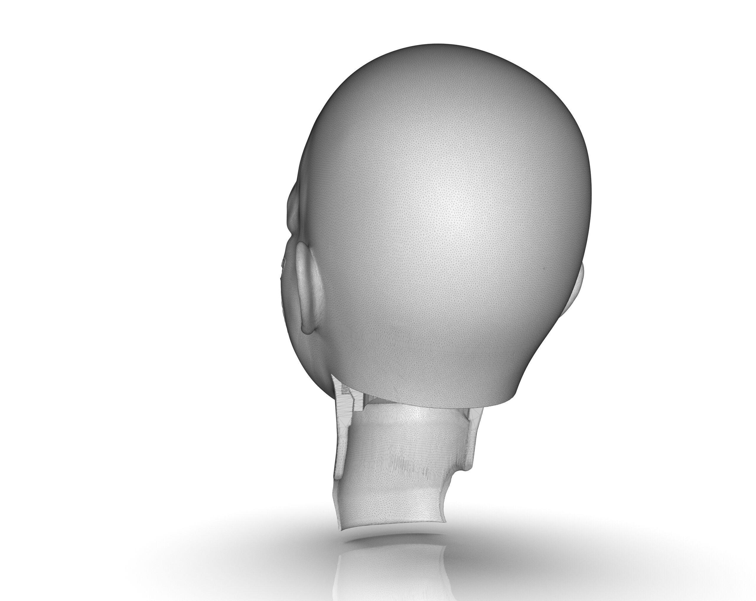 Regan MacNeil Parts 3D print model_19