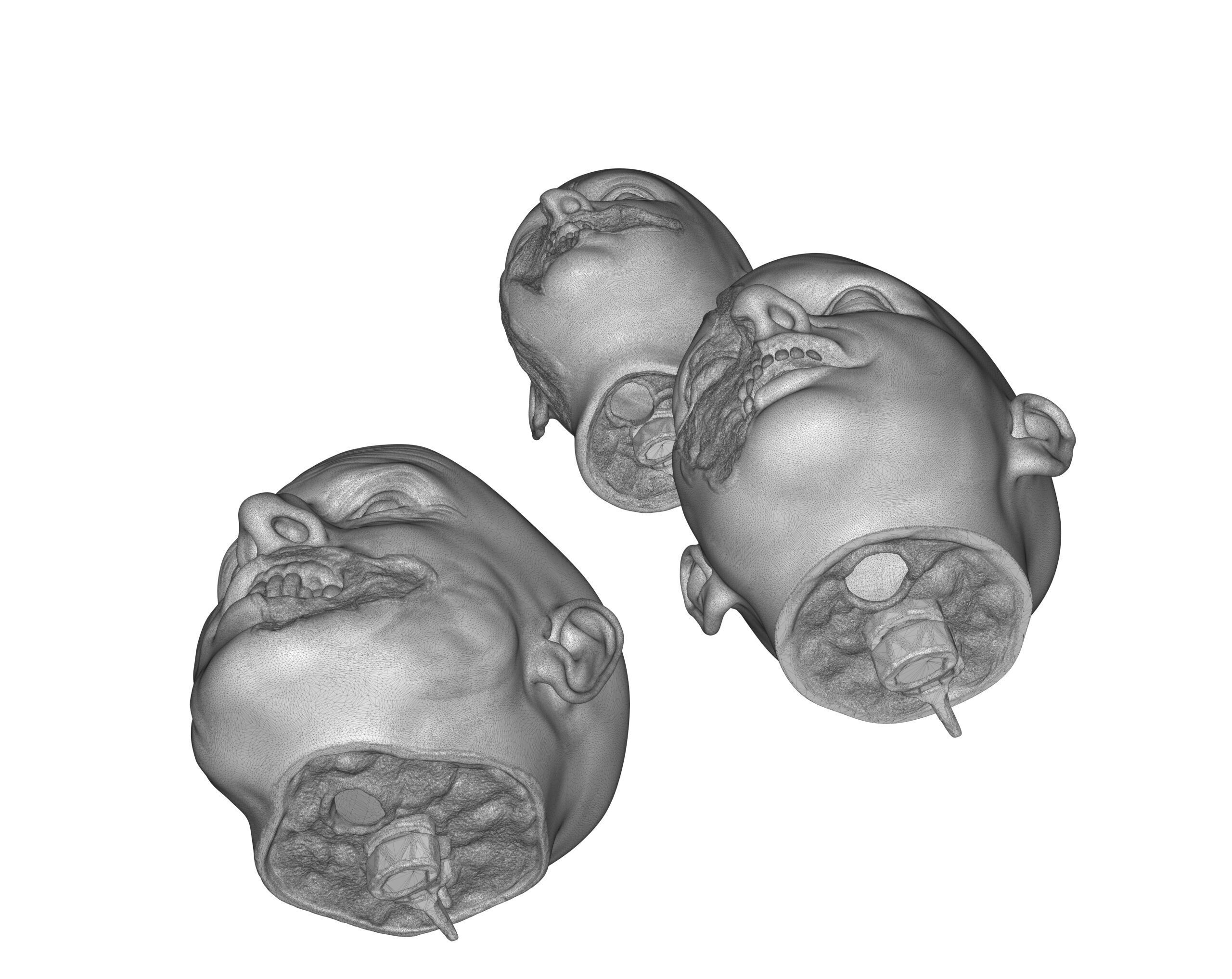 Family Zombie Heads 3D print model_27