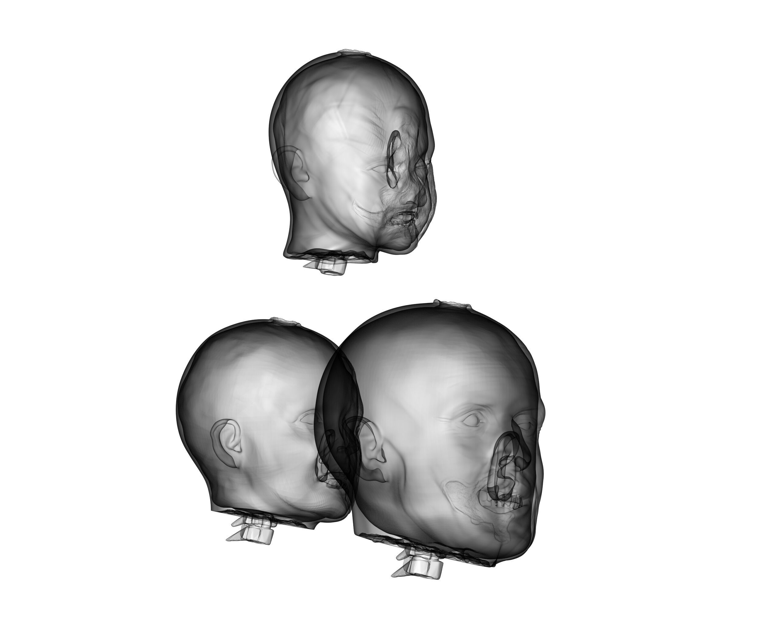 Family Zombie Heads 3D print model_17