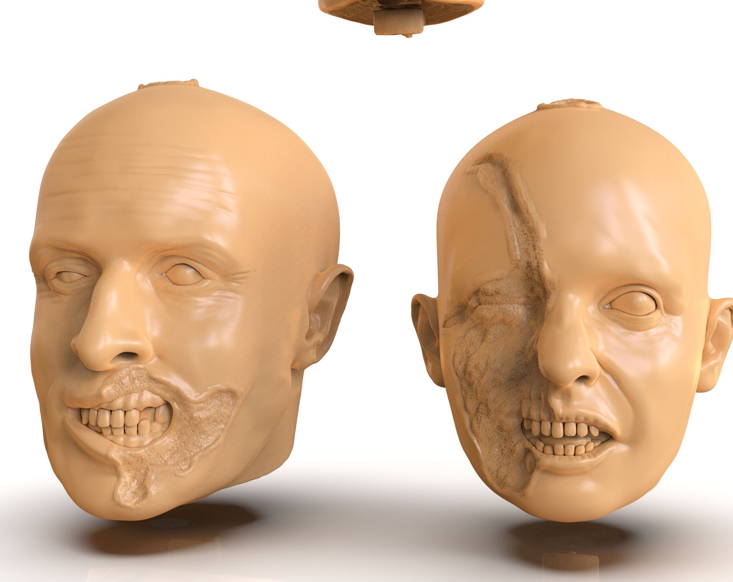 Family Zombie Heads 3D print model_8