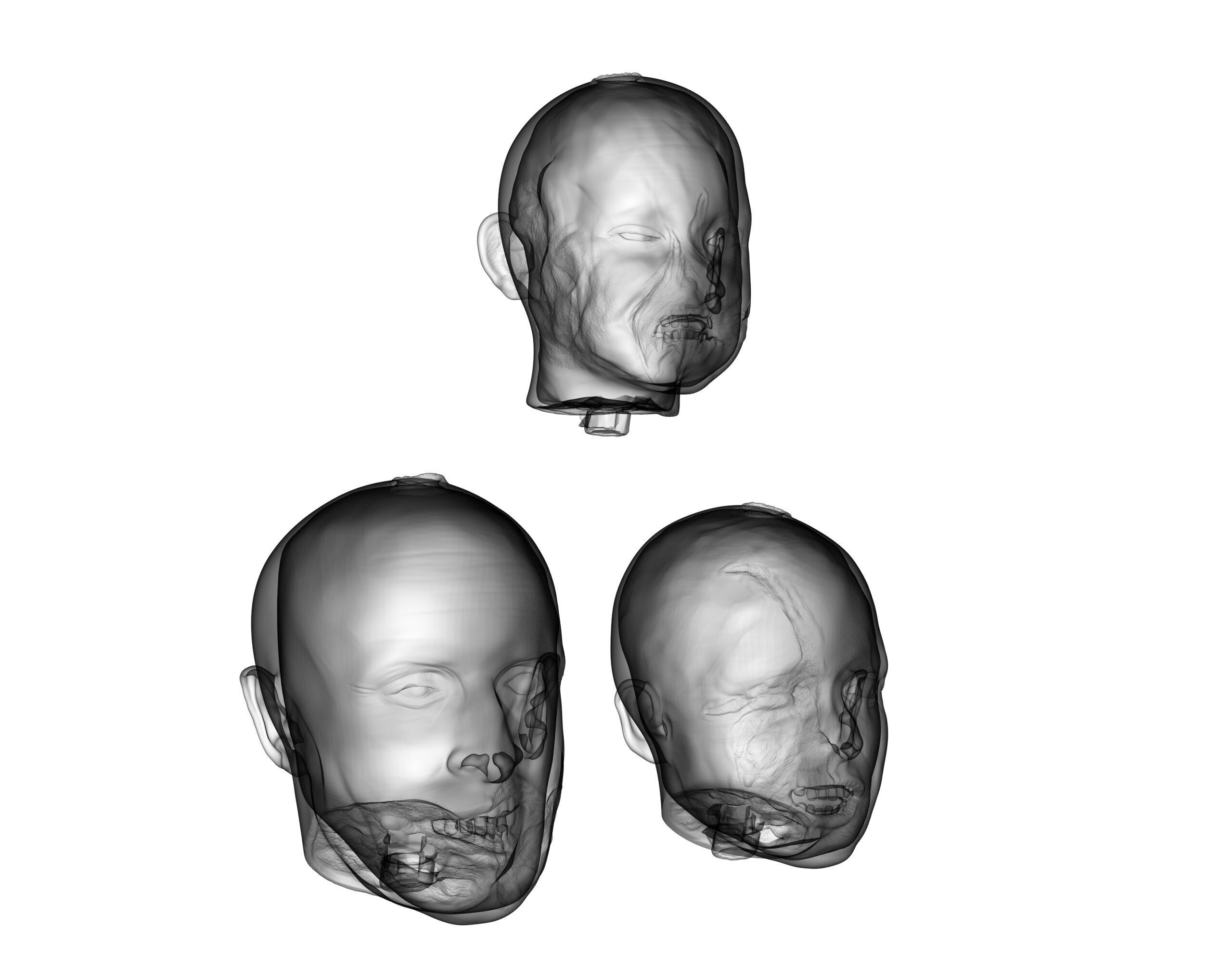 Family Zombie Heads 3D print model_18