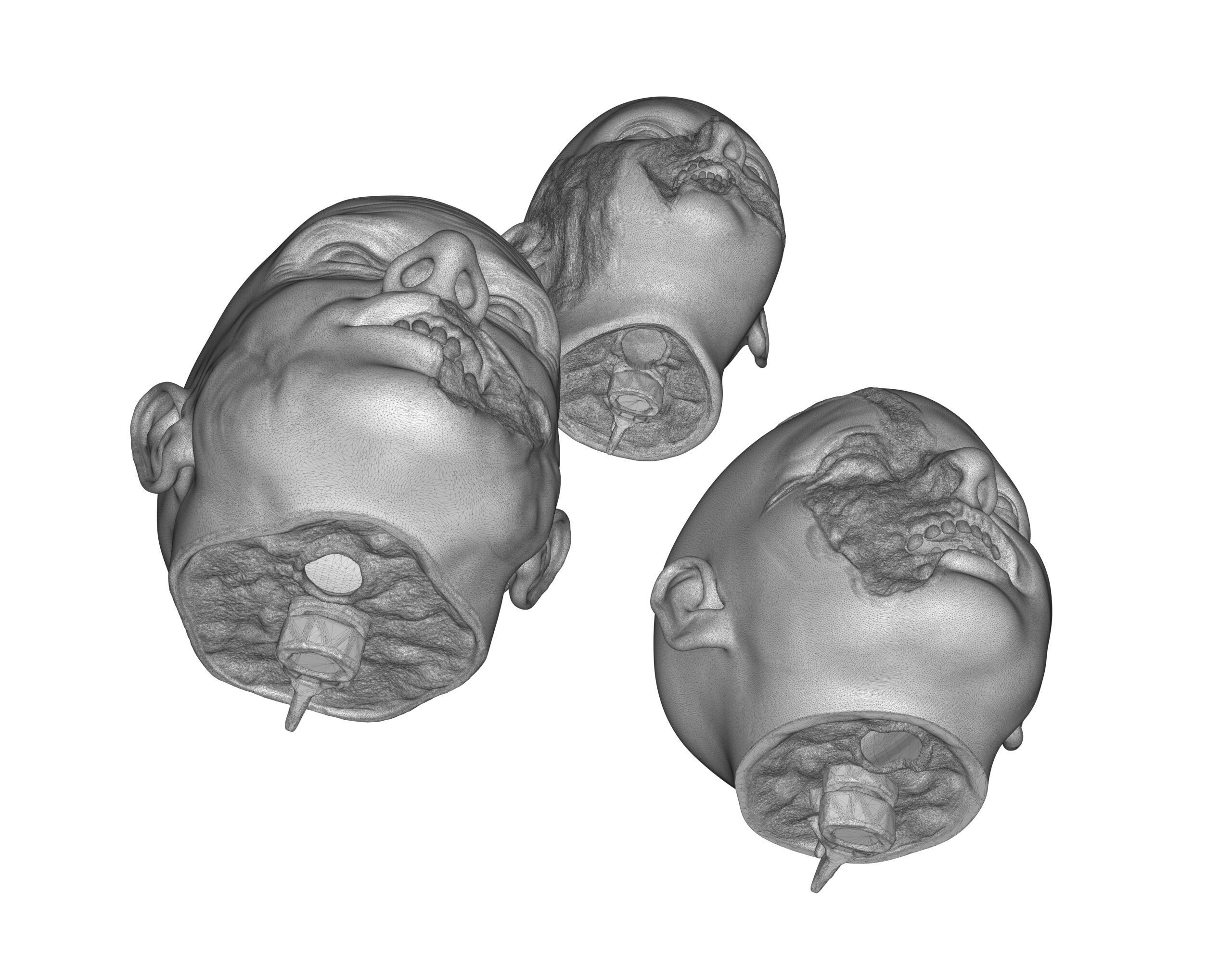 Family Zombie Heads 3D print model_26