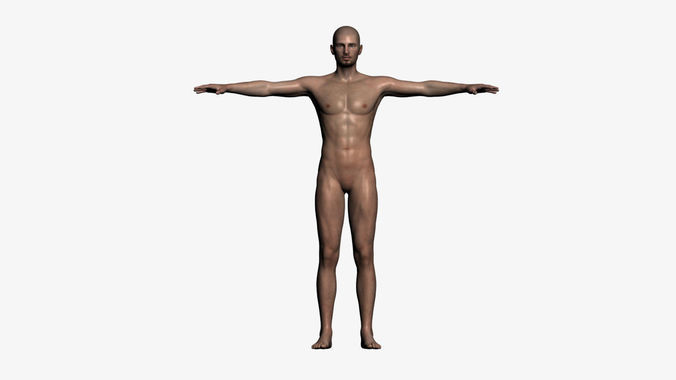 Realistic Male - Rigged Low-poly 3D model