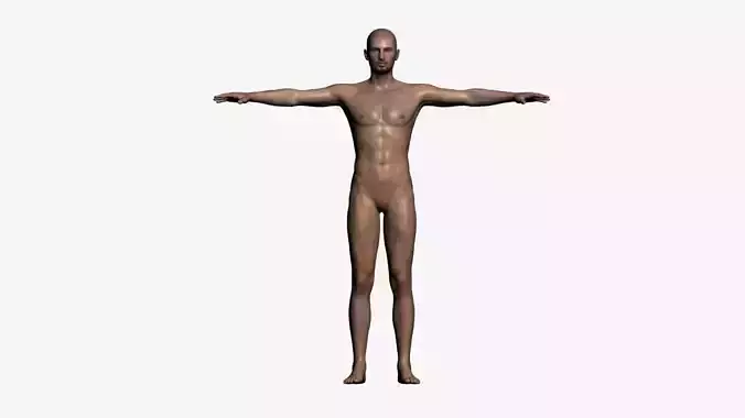Realistic Male - Rigged Low-poly 3D model