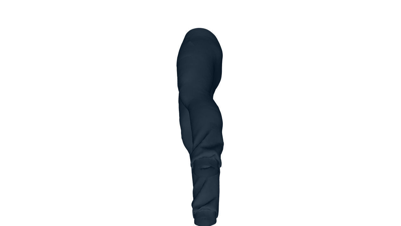 Realistic Pants - Low Poly Low-poly 3D model_17