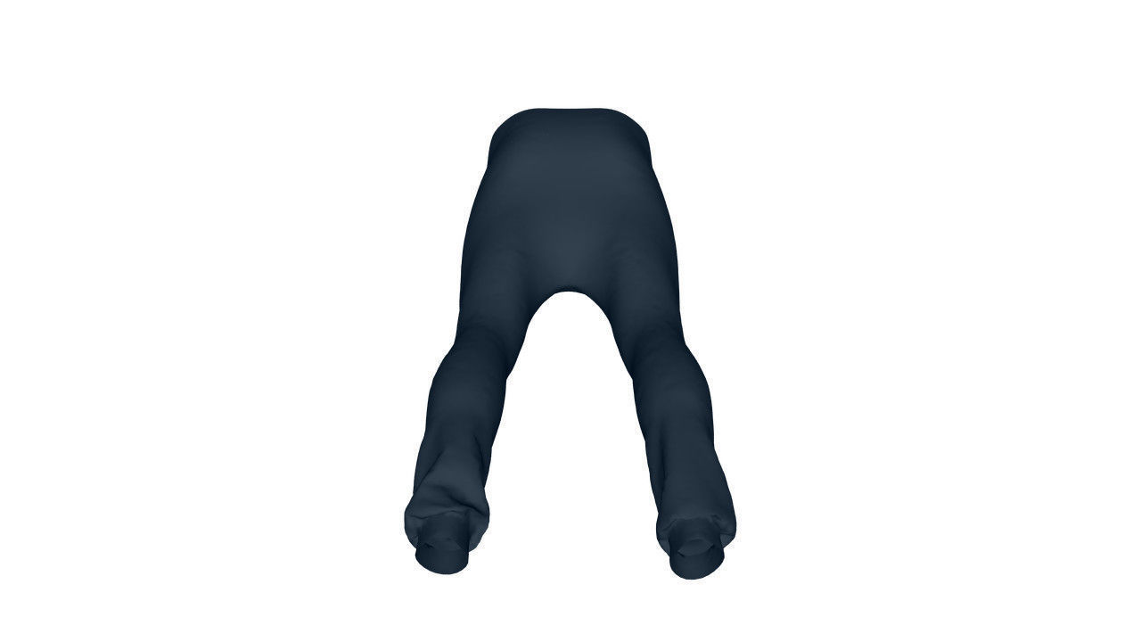 Realistic Pants - Low Poly Low-poly 3D model_19