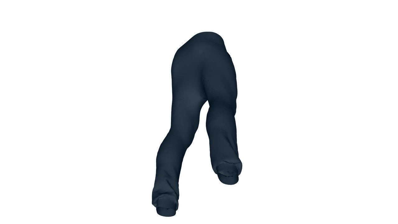 Realistic Pants - Low Poly Low-poly 3D model_20