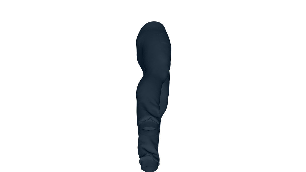 Realistic Pants - Low Poly Low-poly 3D model_21