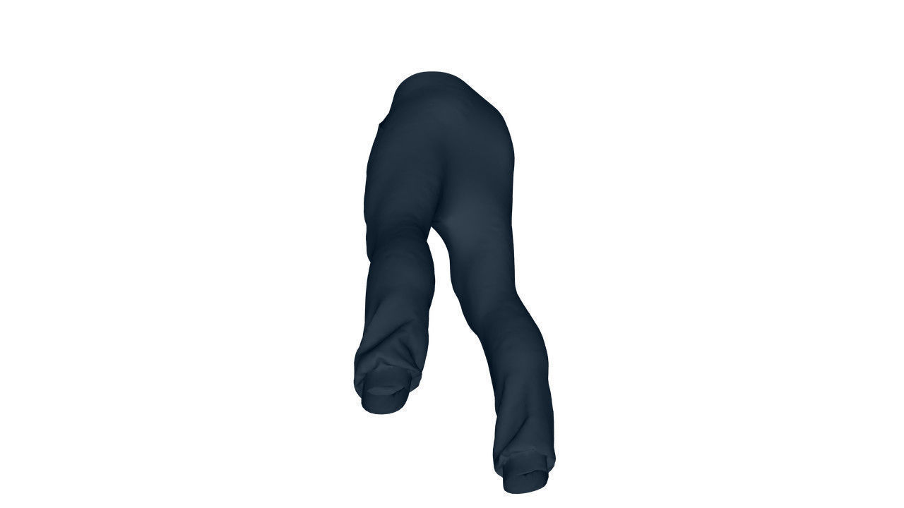 Realistic Pants - Low Poly Low-poly 3D model_18
