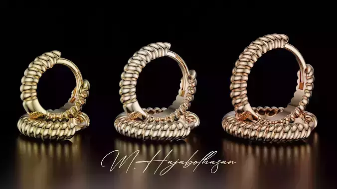 Elegant Hoop Earrings