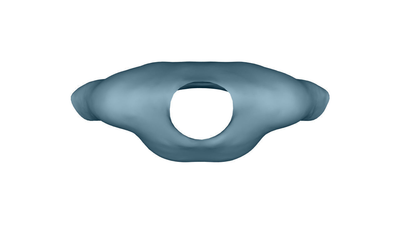 Realistic T-Shirt - Low Poly Low-poly 3D model_29