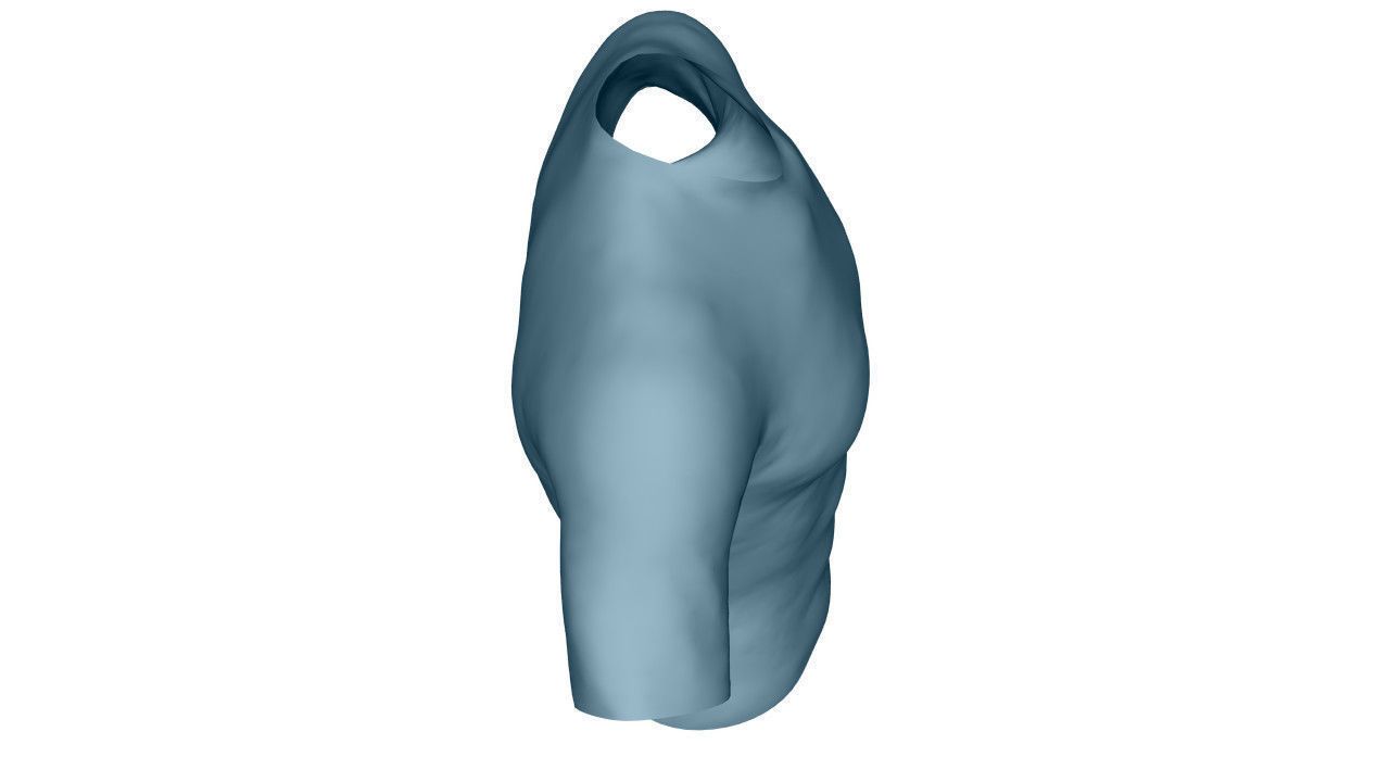 Realistic T-Shirt - Low Poly Low-poly 3D model_16