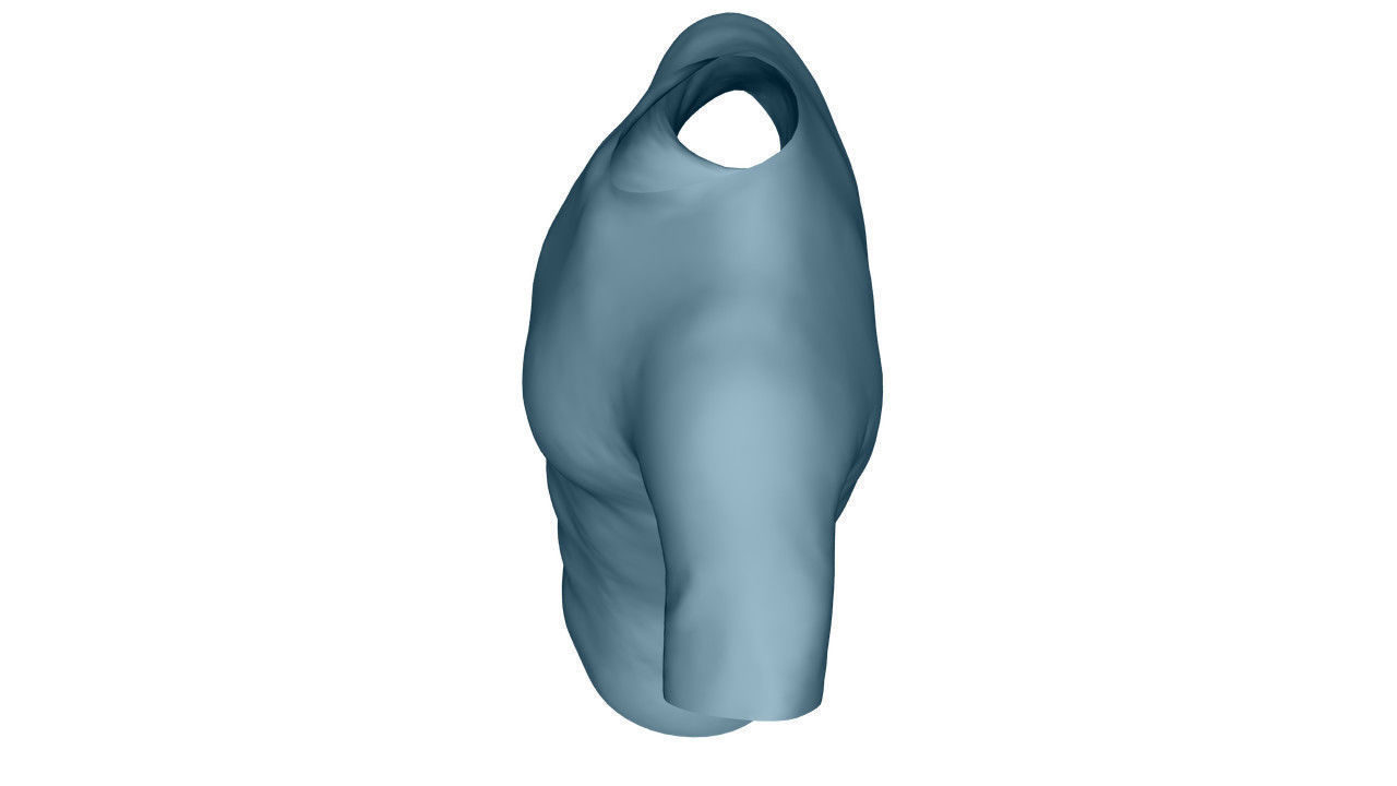 Realistic T-Shirt - Low Poly Low-poly 3D model_12