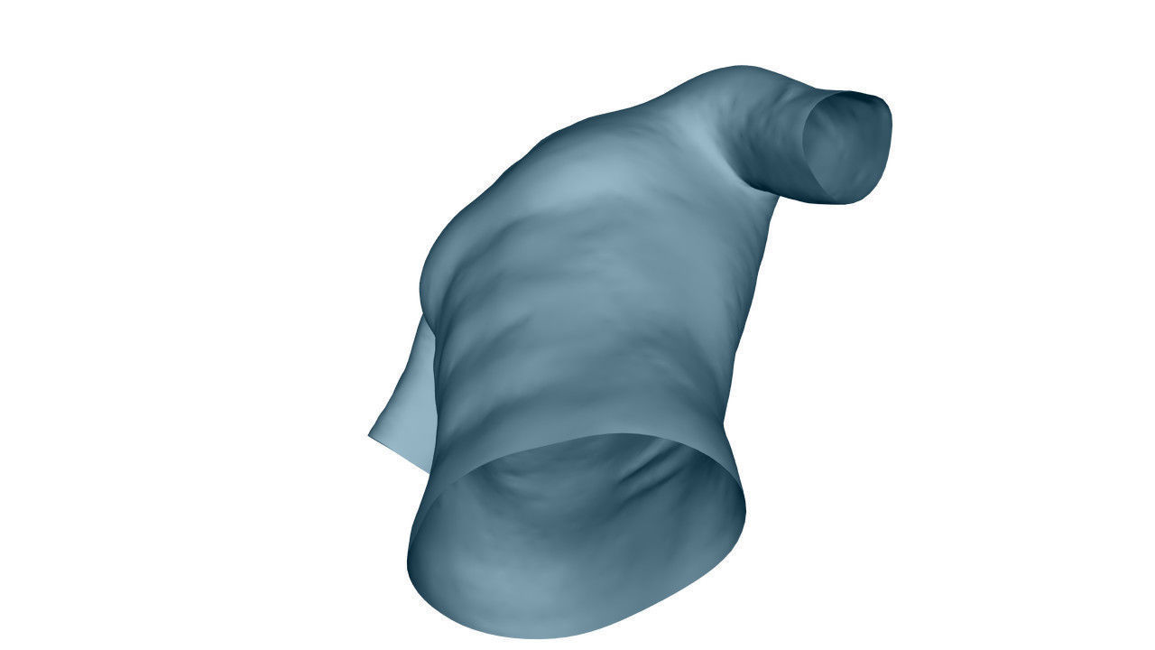 Realistic T-Shirt - Low Poly Low-poly 3D model_20