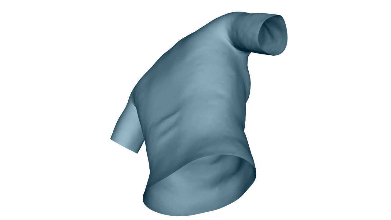 Realistic T-Shirt - Low Poly Low-poly 3D model_24