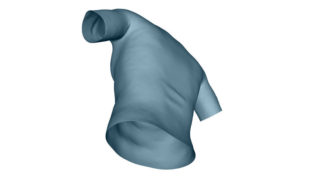 Realistic T-Shirt - Low Poly Low-poly 3D model_22