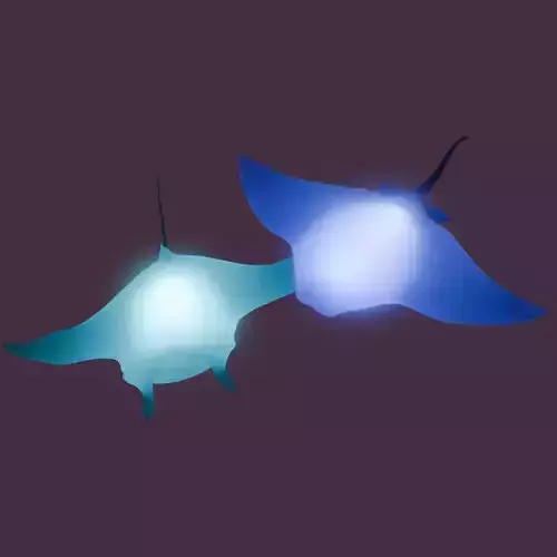 Indirect lighting of stingray and manta ray