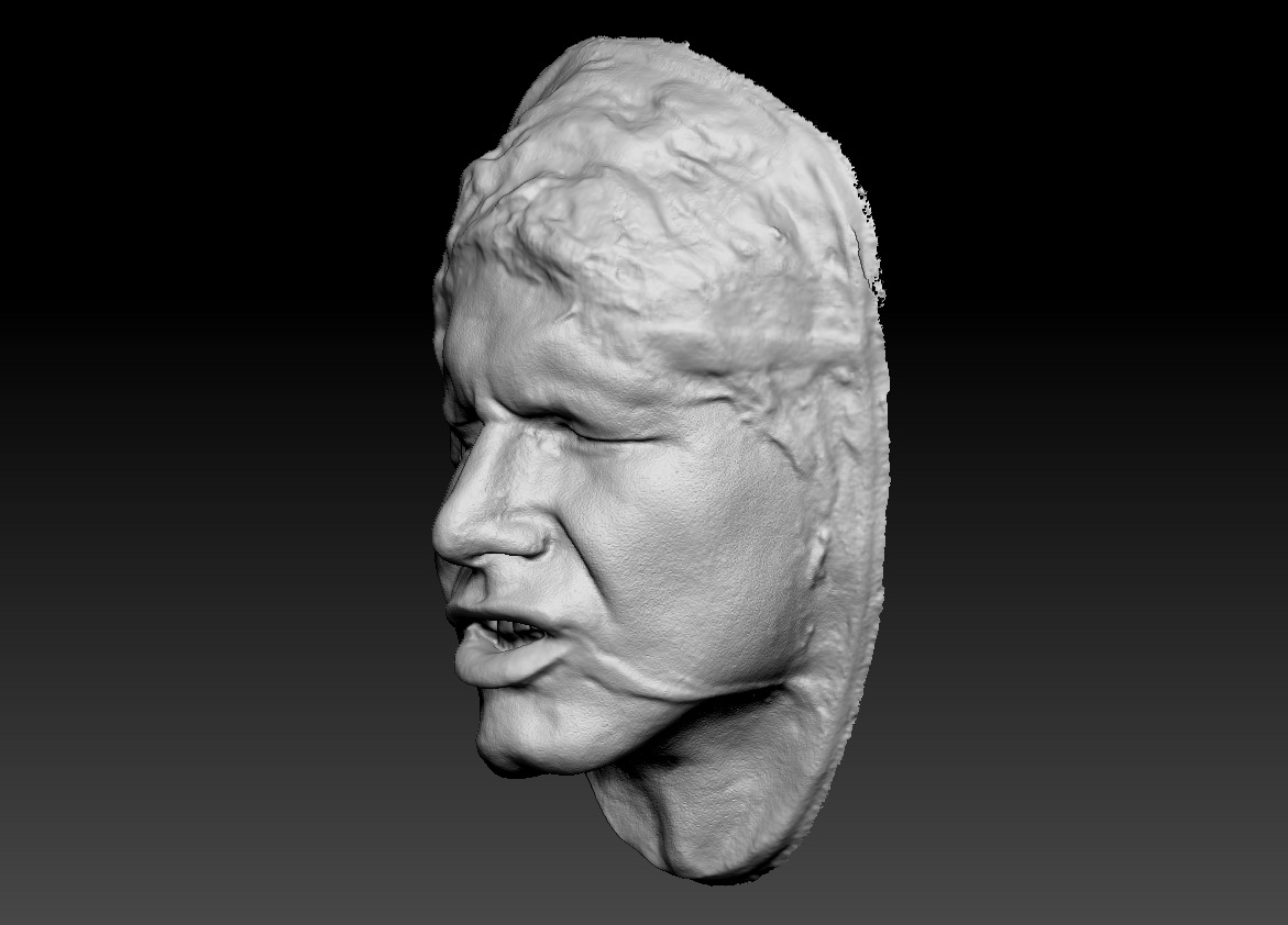 Harrison Ford Han Solo Lifecast 3D Head Likeness Star Wars 3D model_3