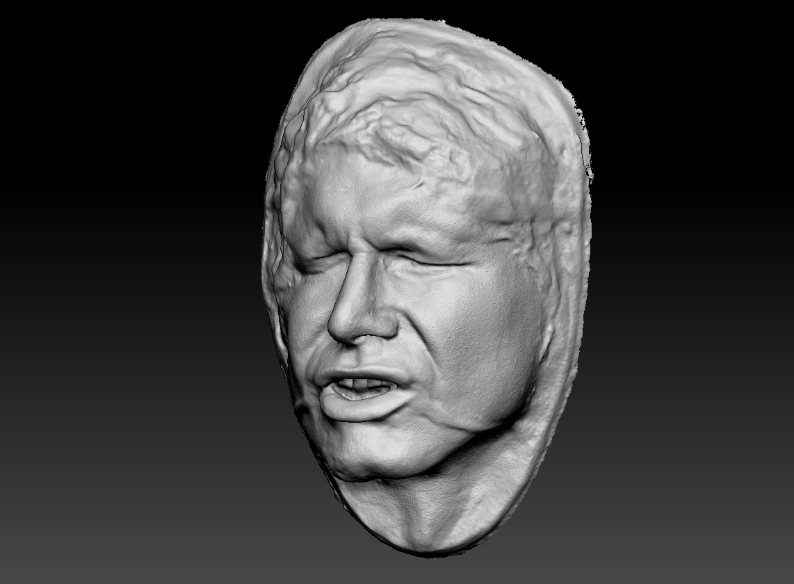 Harrison Ford Han Solo Lifecast 3D Head Likeness Star Wars 3D model_1