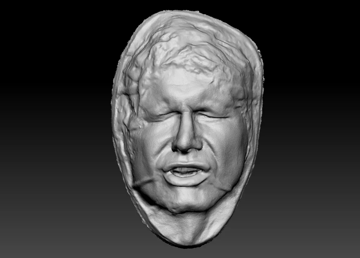 Harrison Ford Han Solo Lifecast 3D Head Likeness Star Wars 3D model_0