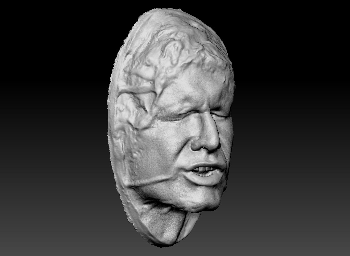 Harrison Ford Han Solo Lifecast 3D Head Likeness Star Wars 3D model_4