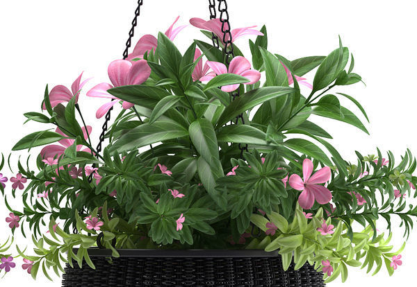 plant hanging basket 3D model_3
