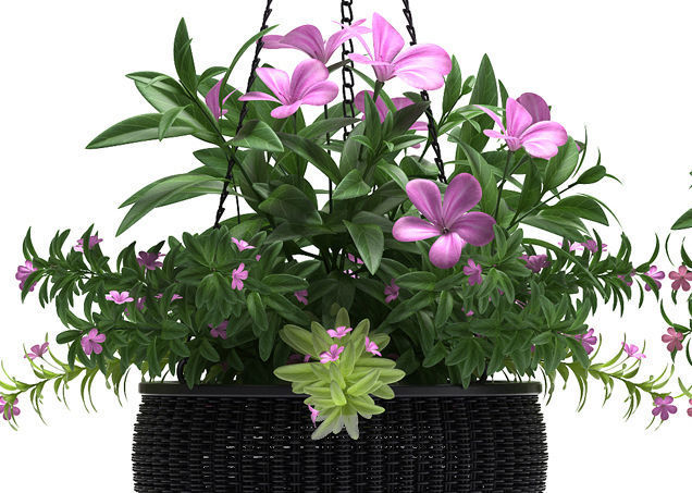 plant hanging basket 3D model_1