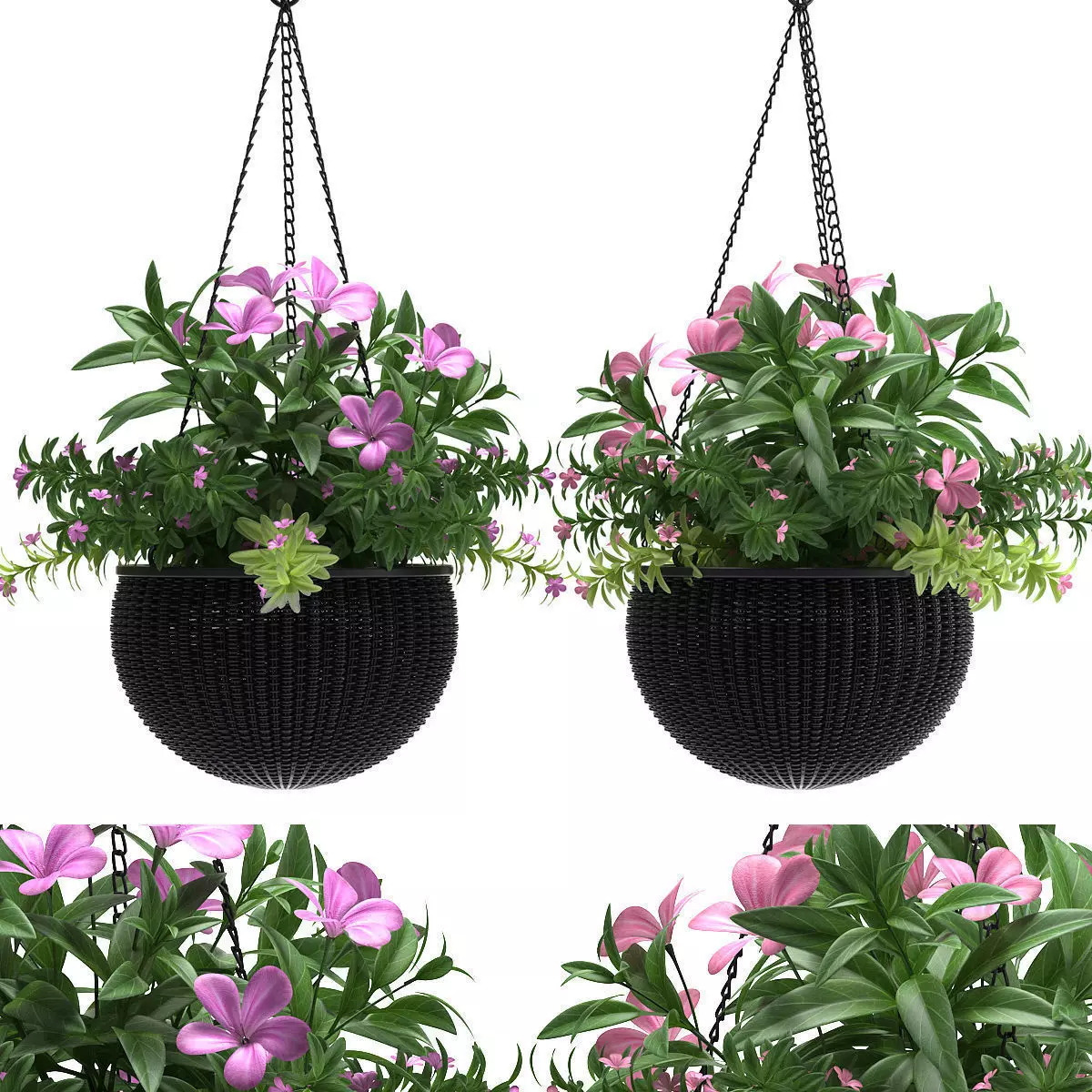 plant hanging basket 3D model_0