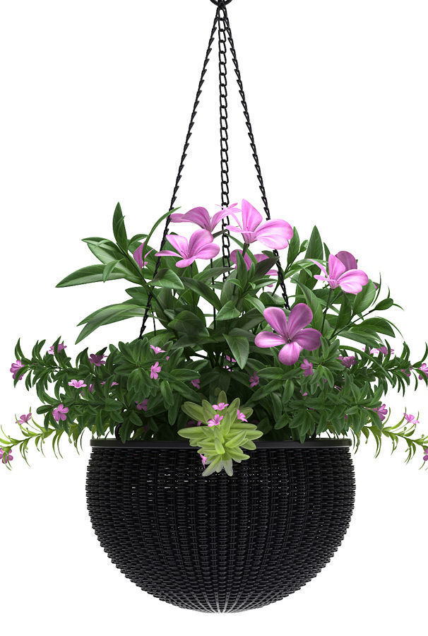 plant hanging basket 3D model_2
