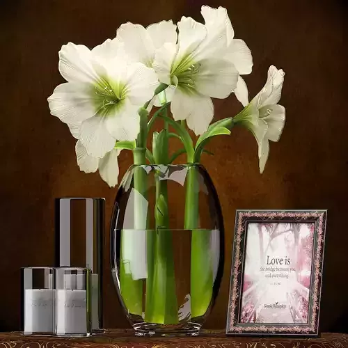  FLOWERS AMARYLLIS 3D model