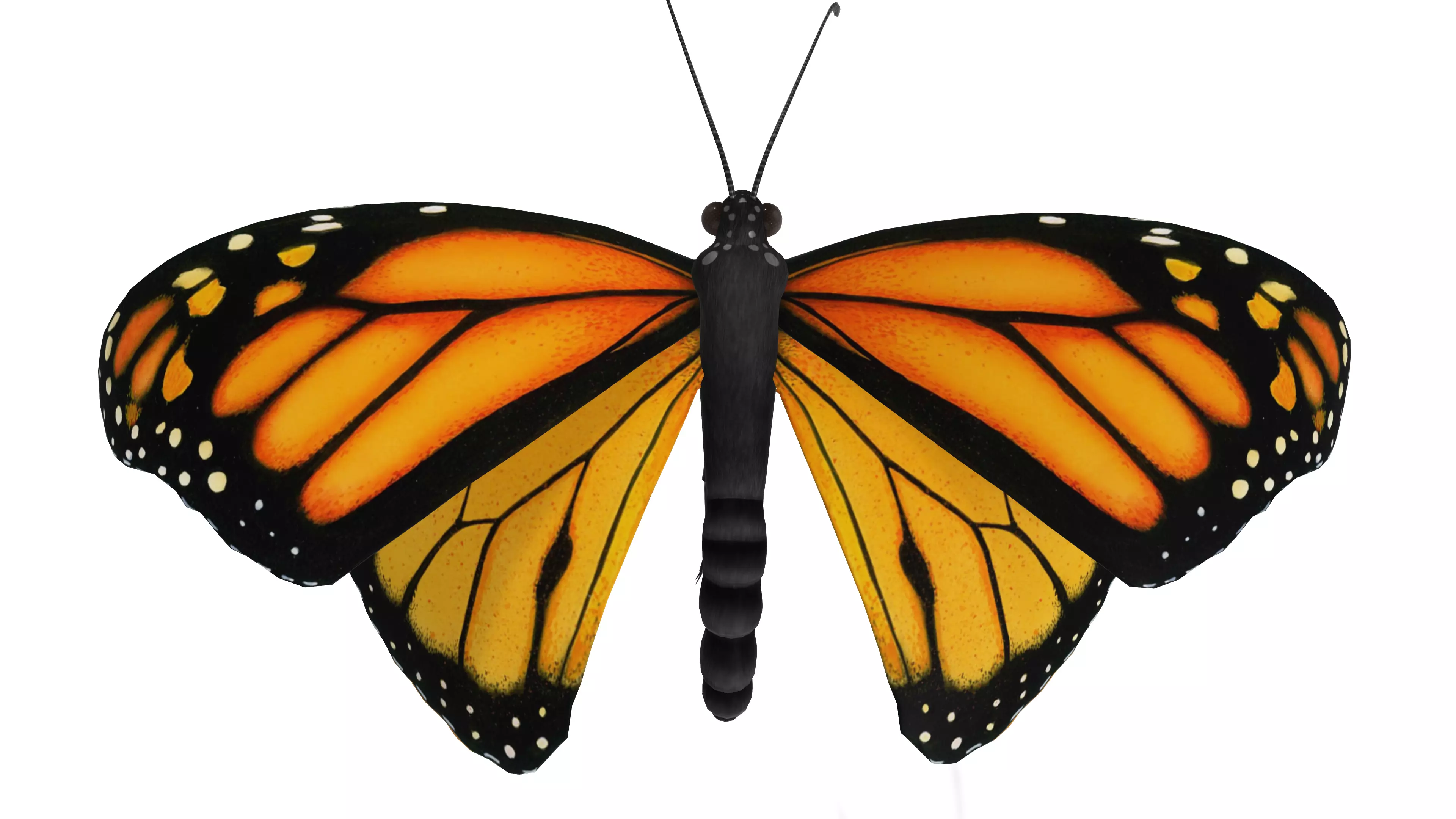 Fluttering Butterfly Animated Stylized Insect 3D Model 3D model_0