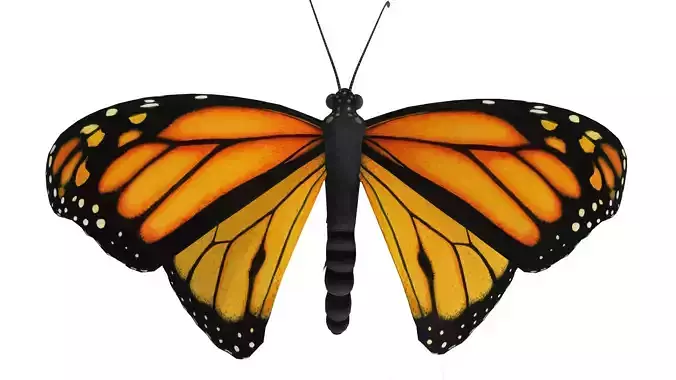 Fluttering Butterfly Animated Stylized Insect 3D Model