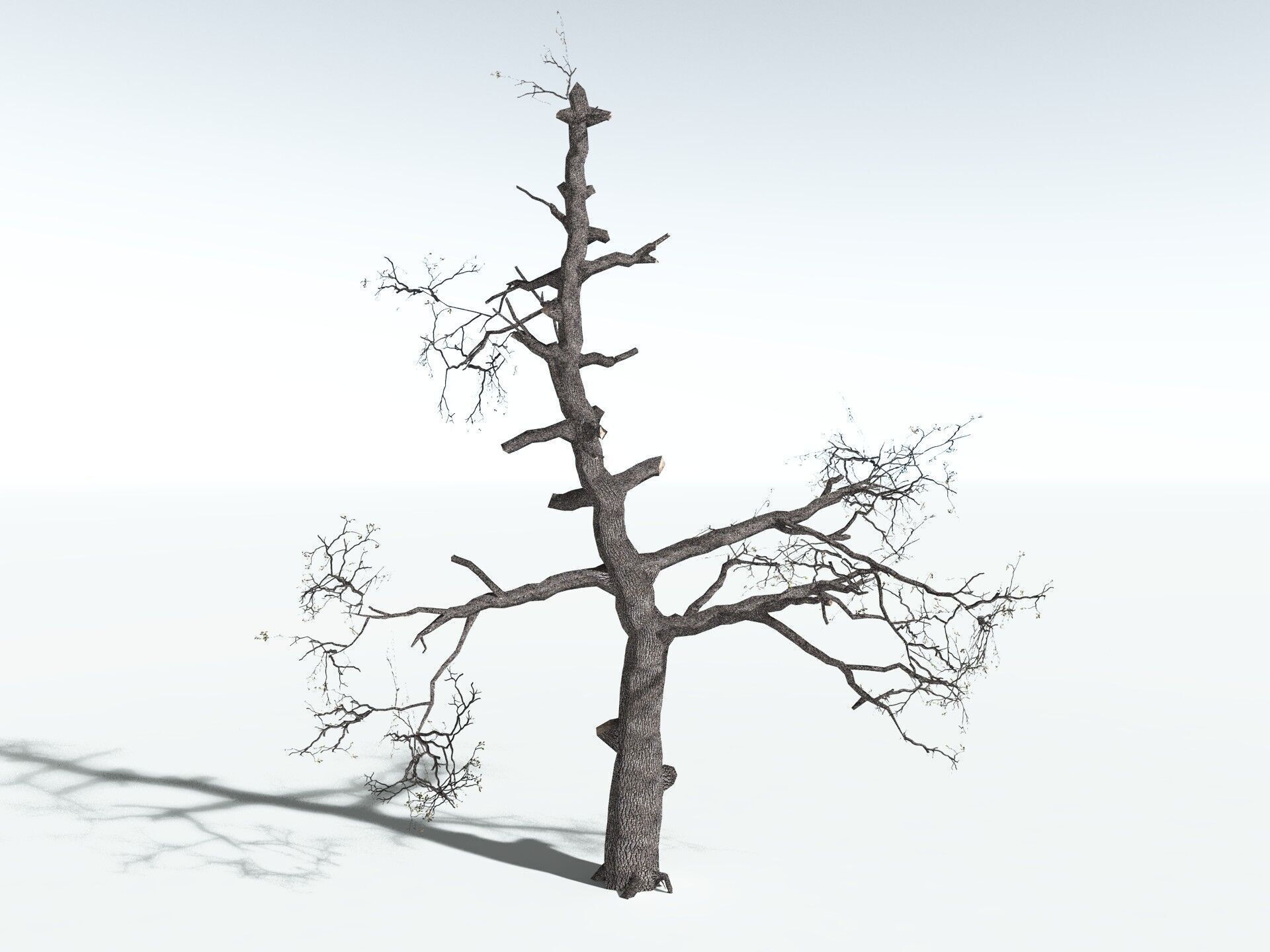 EVERYPlant English Oak LowPoly Low-poly 3D model_26